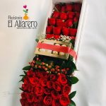 ALFA 005