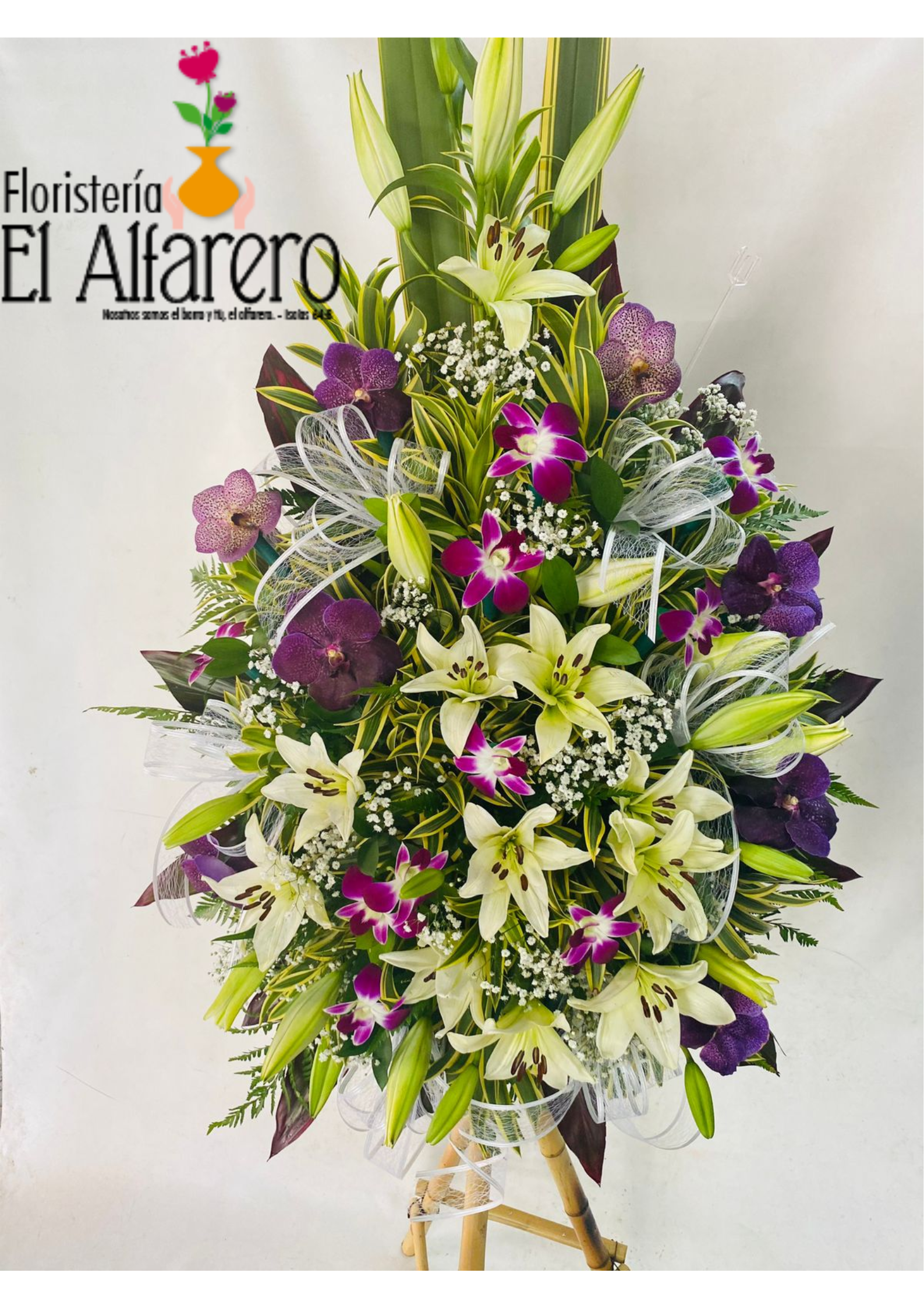 Diseño sin título (7)