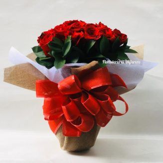 ALFA 071