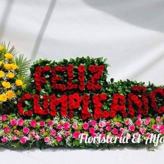 ALFA 097